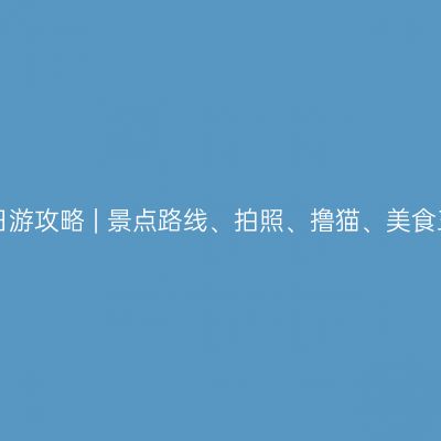 李庄一日游攻略 | 景点路线、拍照、撸猫、美食三不误！